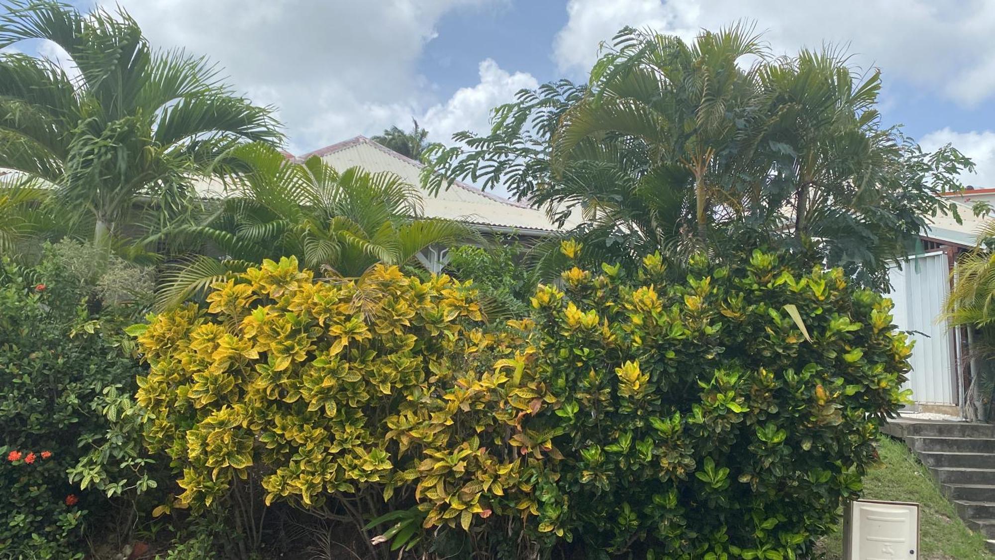 Bungalow Belfond Plage Pointe Marin Sainte-Anne Eksteriør bilde